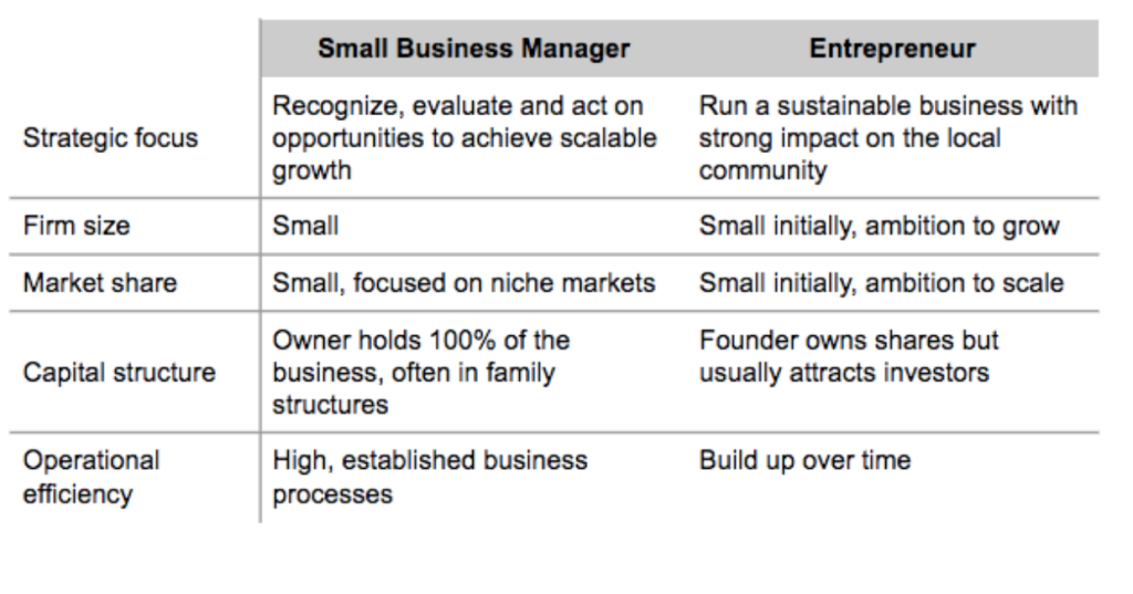What is the Difference between Small Businesses And Entrepreneurs