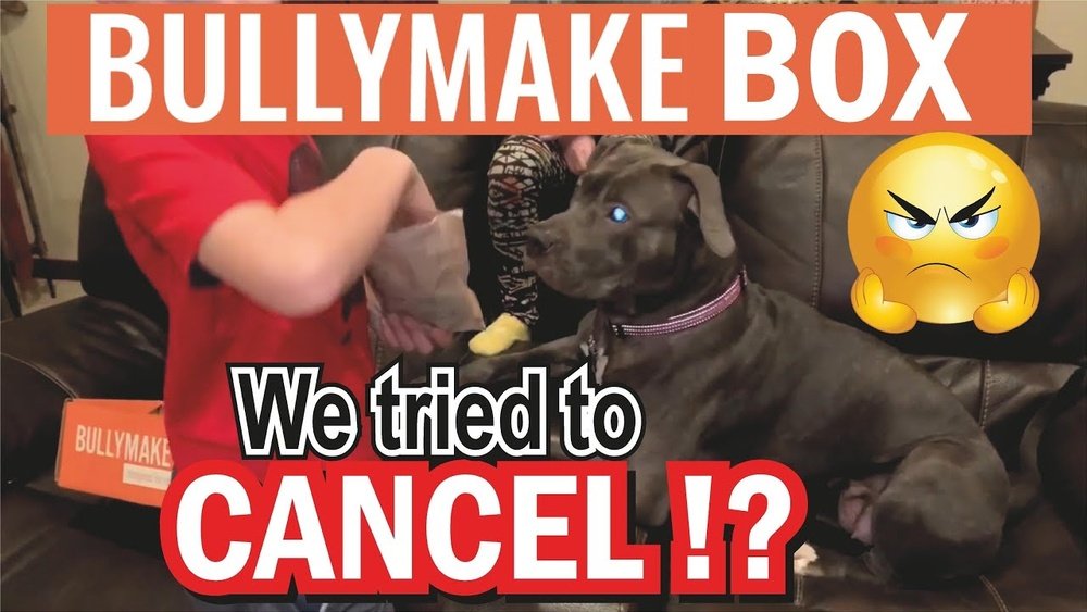 How to Cancel Bullymake Subscription