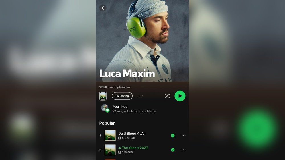 What Ai Does Lucamaxiim Use