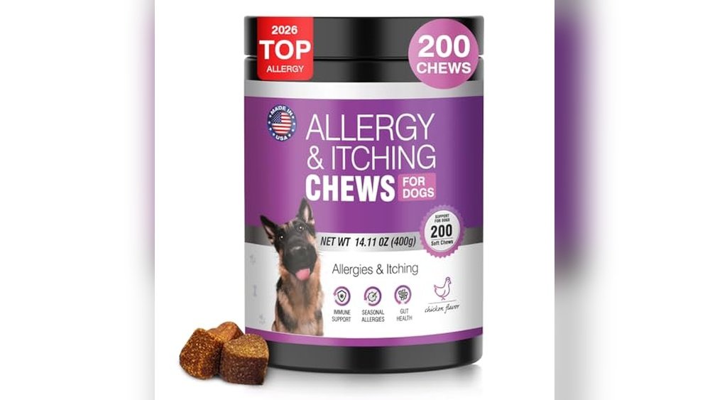 Best Dog Allergy Chews