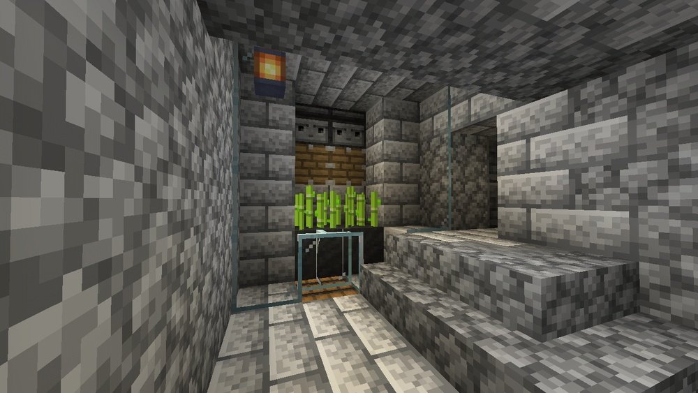 Does Sugarcane Need Light