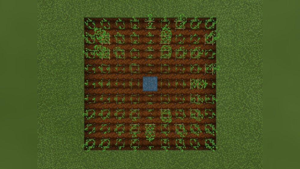 How Far Does Water Hydrate In Minecraft