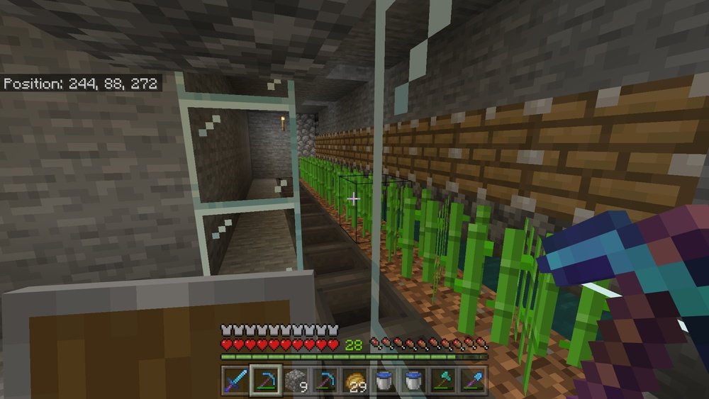How Long Does It Take For Sugar Cane To Grow In Minecraft