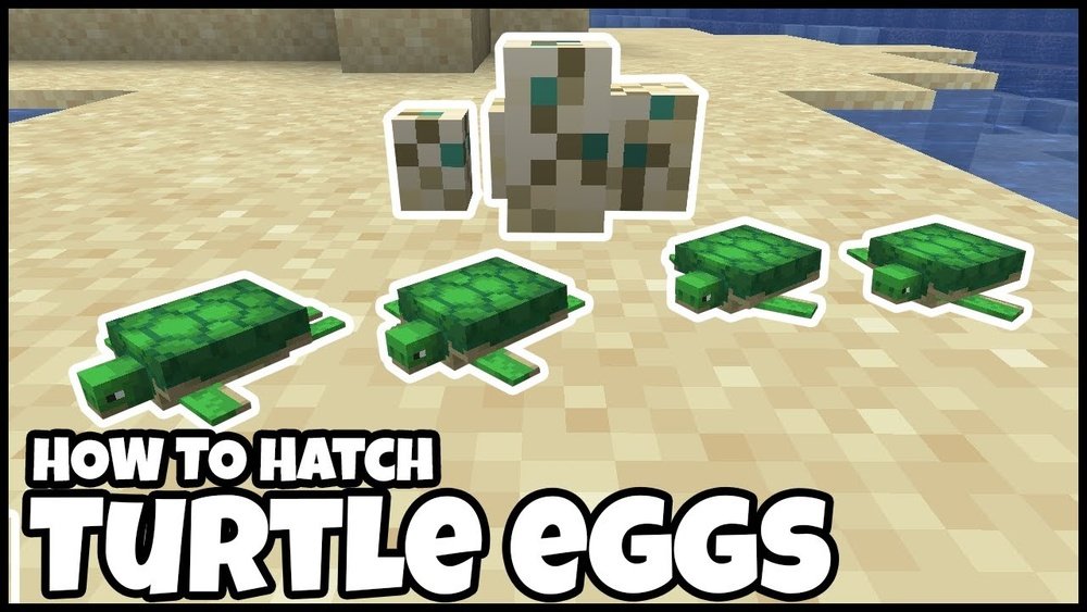 How Long Does It Take For Turtle Eggs To Hatch In Minecraft