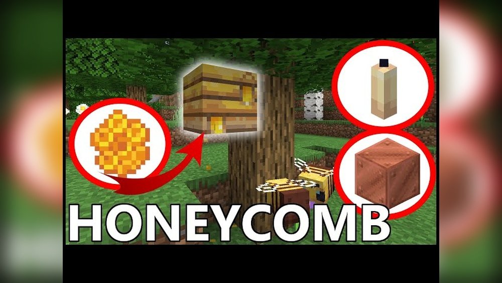 How To Get Wax In Minecraft