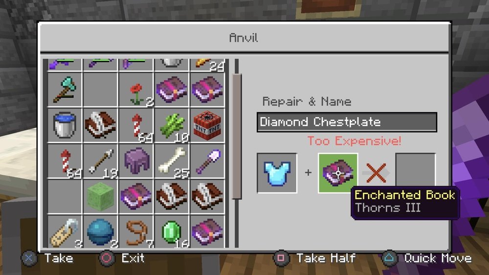 Thorns Minecraft