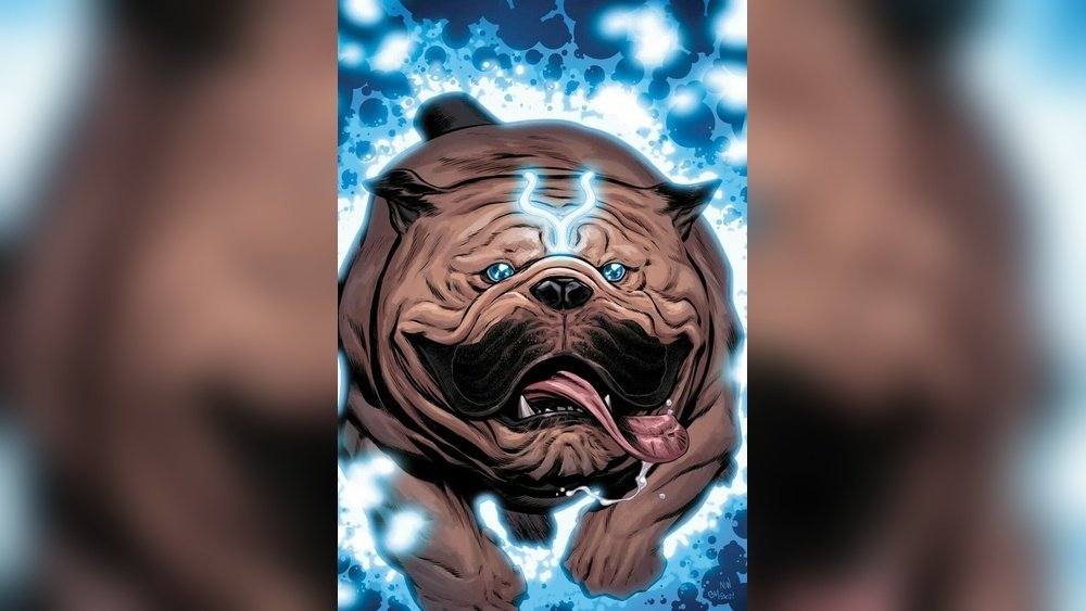 Will Dogs Always Teleport
