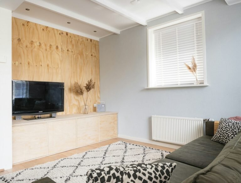 A home television viewing room, an illustrative photograph rather than Celebrity Wheel of Fortune artwork